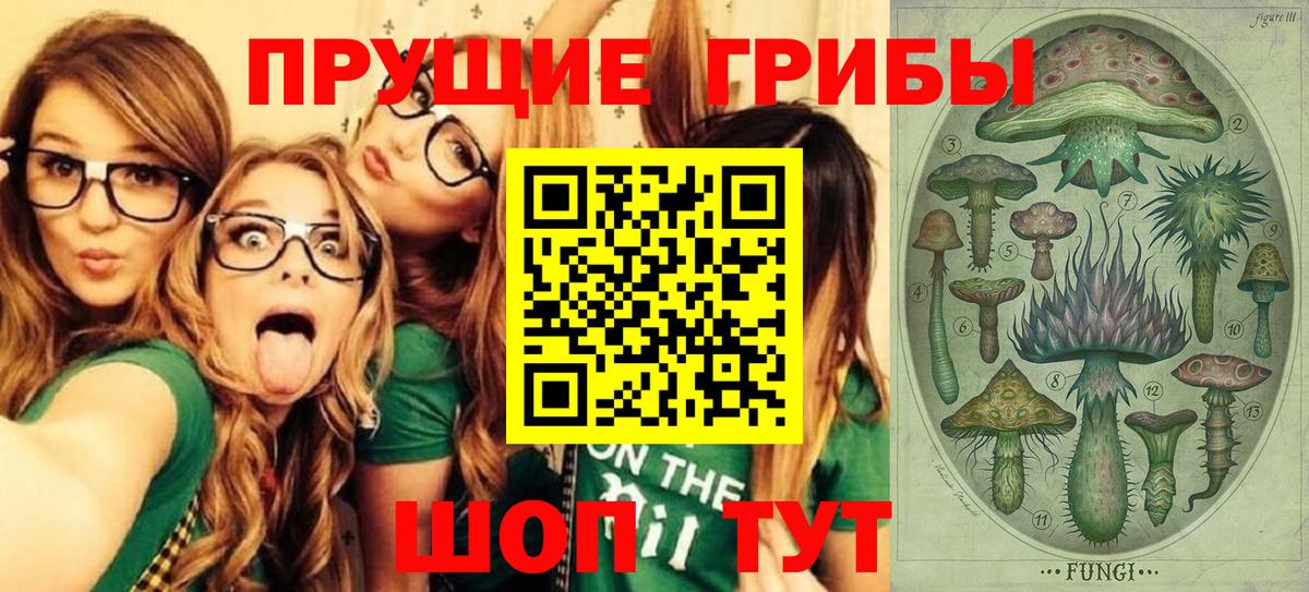 Галлюциногенные грибы Cubensis  Вход с VPN  Ухта 